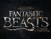 Fantastic Beasts and Where to Find Them Kostüme